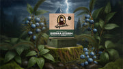 Sierra Storm - Bright Shower Wash
