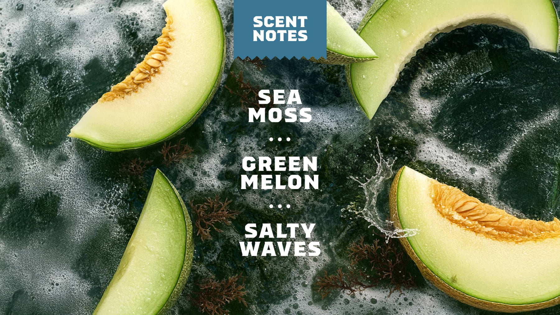 Coastal Mist - Premium Fresh Wash