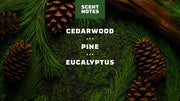 Pine Tar Spray Deodorant - Bright Active Shield