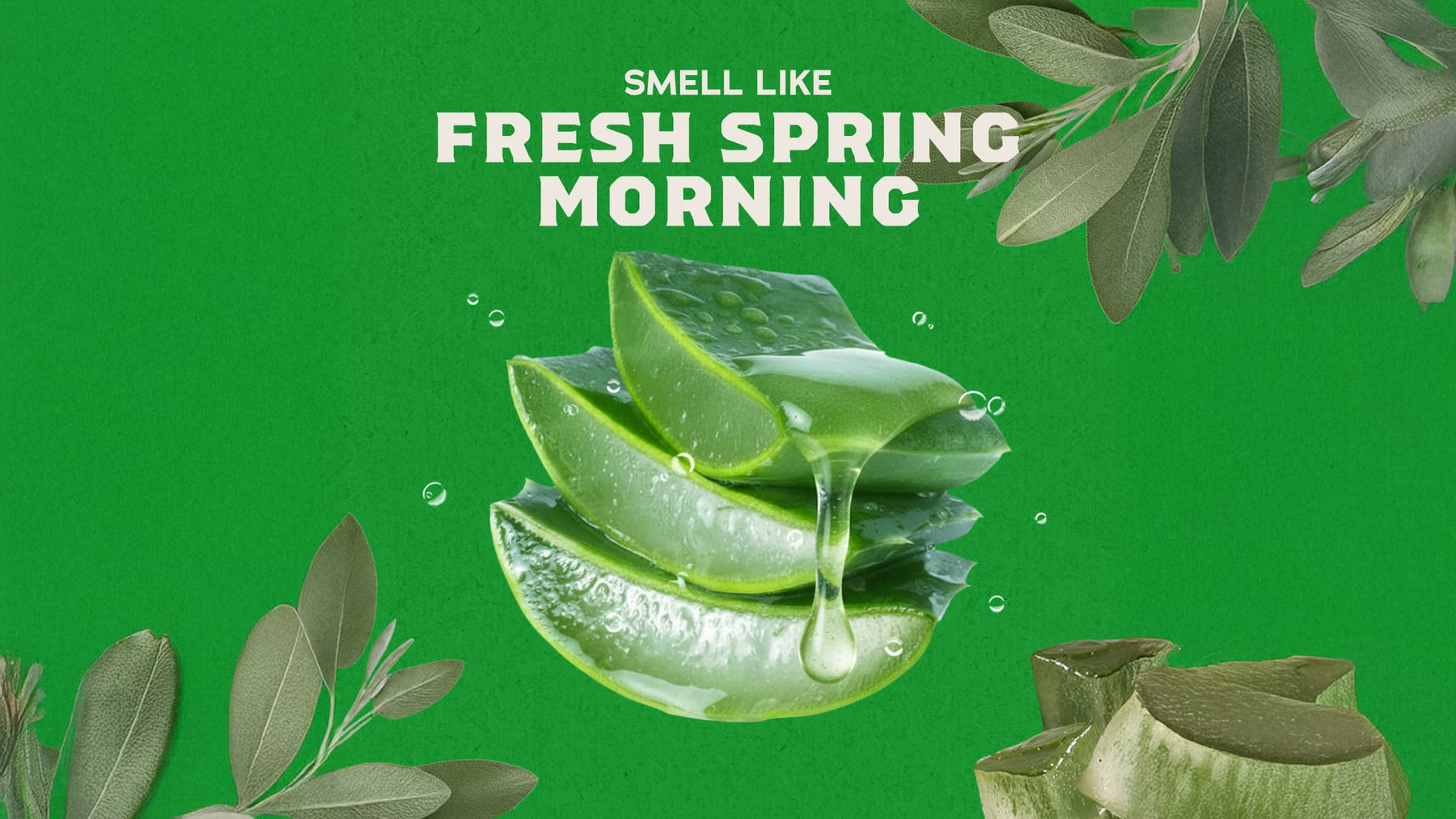 Cool Fresh Aloe - Daily Morning Bar