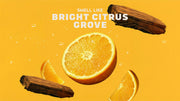 Summer Citrus Shampoo - Daily Bright