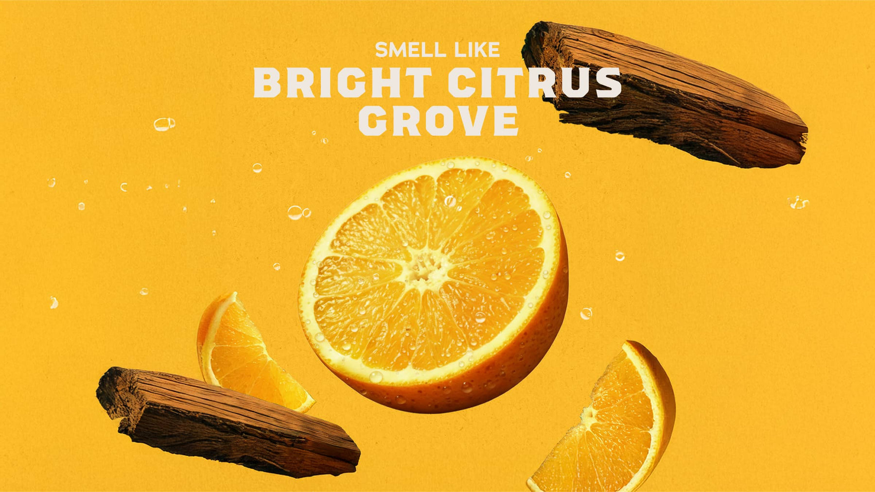 Summer Citrus Shampoo - Daily Bright