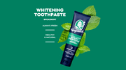 Soothing Spearmint - Night - Clean Routine
