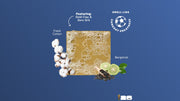 FIFA Golden Glory 3-Pack Bar Soap Bundle - Outdoor Travel Rotation